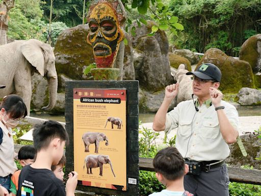 台北動物園暑期夜間開放7/6起開跑 還有夜間遊園列車等你搭