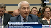 A man sat behind Fauci pulling faces at him in fiery House Covid hearing. But who is he?