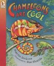 Chameleons Are Cool: Read and Wonder