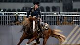 Feed that killed 70 rodeo horses in Oklahoma was contaminated with toxic additive