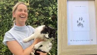 'Cremated' cat, Ted, saunters back home four days after dying