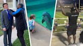 A little girl dolphin whisperer and heroic bus driver. Watch the best videos of the week.