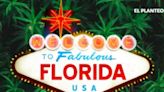 'Most Florida Marijuana Is Illegal' Mom Cautions Against Dangers Of Unregulated Weed In New Cannabis Legalization Ad - Ayr...