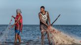 Equity Must Be Considered In Ocean Governance To A | Newswise