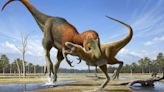 Nanotyrannus vs. T. rex saga continues: Controversial study 'doesn't settle the question at all'