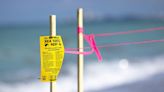 Crosswalk lighting on Gulf of Mexico Drive temporarily shut off for sea turtles | Your Observer