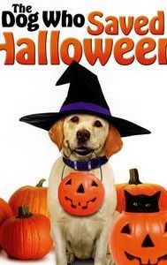 The Dog Who Saved Halloween