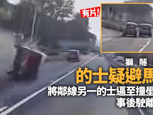 有片｜獅隧公路的士疑避馬騮 鄰線的士逼埋壆翻側 交警擒車救人