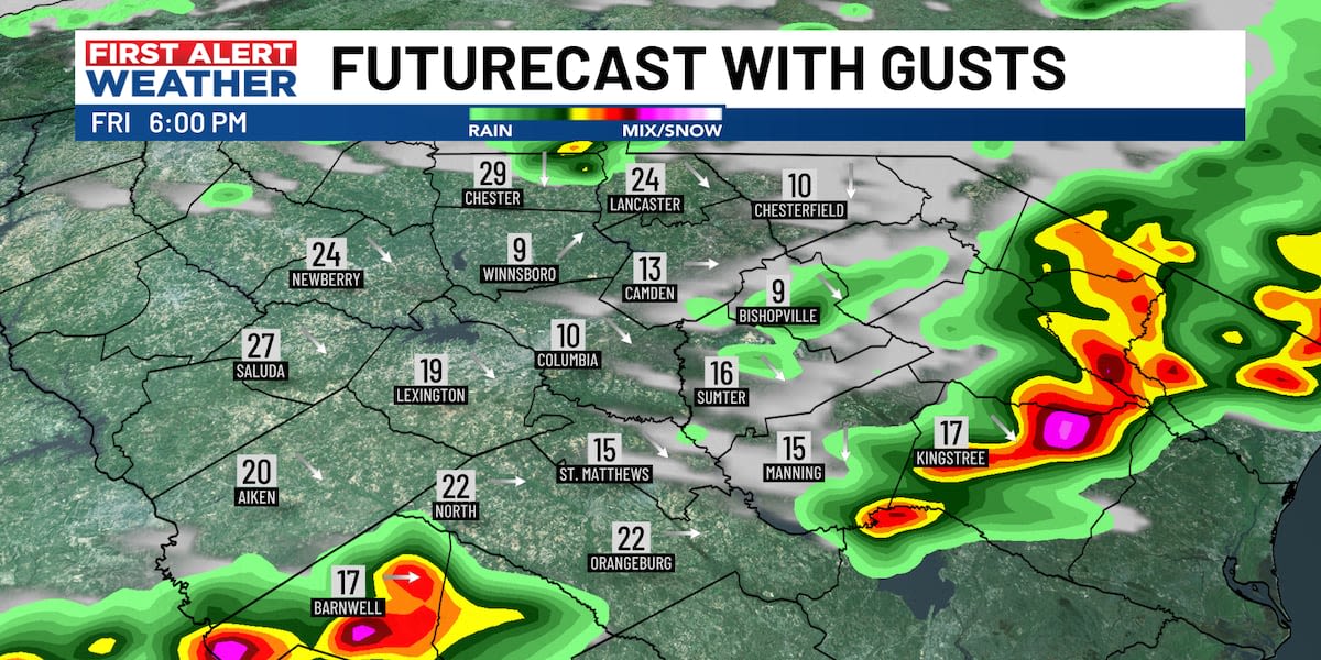 Severe thunderstorms move through central SC