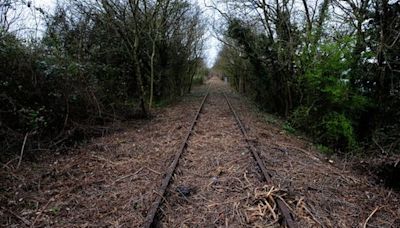 Is this the end of the line for Portishead’s railway?