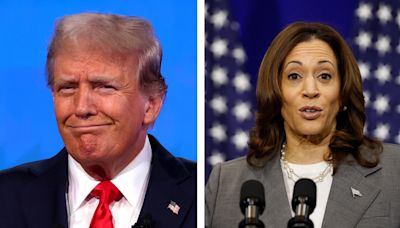 Donald Trump destroys Kamala Harris in new poll