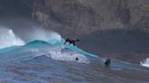 Sea lions exhibit remarkable prowess while surfing giant waves