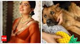 Heartbroken Rashmika Mandanna mourns the death of her pet 'goodest boiii' Maxi: We’ll miss you... | Hindi Movie News - Times of India