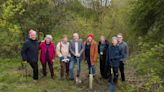 New forest networks created in £820k project