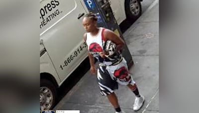 Woman in ‘Jurassic Park’ tank top punches 89-year-old stranger in random NYC attack