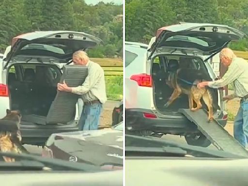 Viral video: Man builds ramp for his elderly dog, internet is in awe