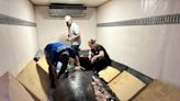 SeaWorld, DHL partner to transfer rehabilitated manatee to Florida waters