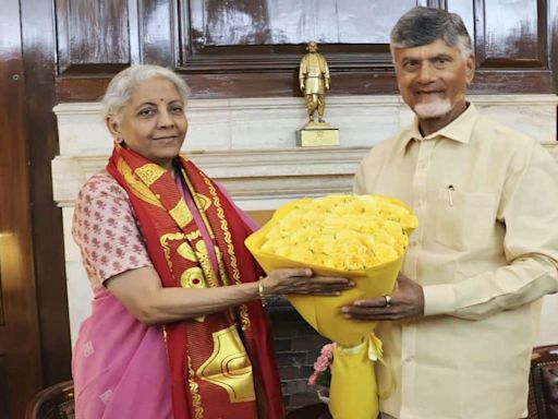 Naidu urges FM Sitharaman for financial rescue of debt-ridden Andhra Pradesh