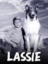 Lassie