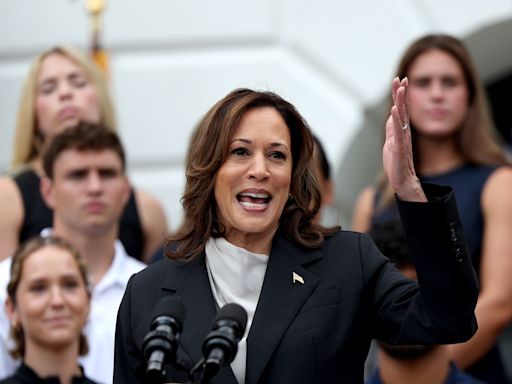 Silicon Valley Donor Class Is Divided as Harris Support Grows in Tech Stronghold