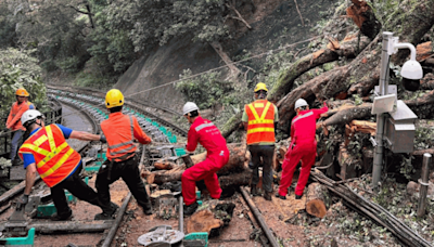 大樹被吹冧跌入路軌範圍 山頂纜車今日續停 明日服務將另行通知