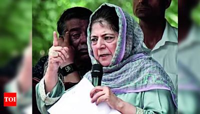 Mehbooba Mufti urges Amit Shah to form committee for representatives from both sides of Kashmir | Srinagar News - Times of India