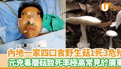 內地一家四口採食野生菇1死3危殆 元兇毒蘑菇致死率極高常見於廣東 | U Food 香港餐廳及飲食資訊優惠網站