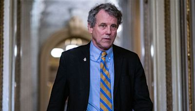 Strategists consider effect of Sherrod Brown’s call for Biden to exit