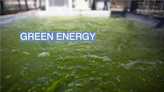 Semafor Net Zero: Algae's climate comeback