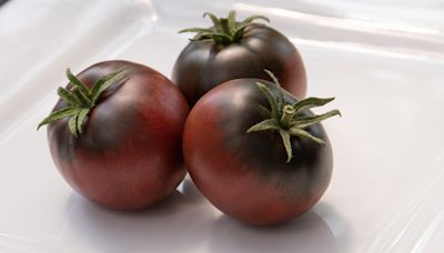 The Scientific Reason Cherokee Purple Tomatoes Look So Funky