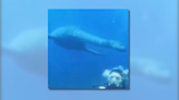 Fact Check: Video Clip Allegedly Documents Scuba Diver Swimming with Dinosaur. Color Us Skeptical