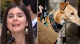 Barchiesi festejó rechazo de proyecto de ley que buscaba prohibir carreras de perros