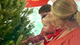 Want a fresh festive fir? Here are some Augusta area Christmas tree farms and lots