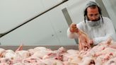 Court decision halts enforcement of Ottawa’s kosher slaughter rules