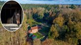 See inside 'tranquil' £750k woodland cottage with acres of land