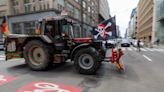 Agricultores volvieron a protestar en las calles de Bruselas en rechazo a las políticas de la Unión Europea