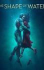 The Shape of Water