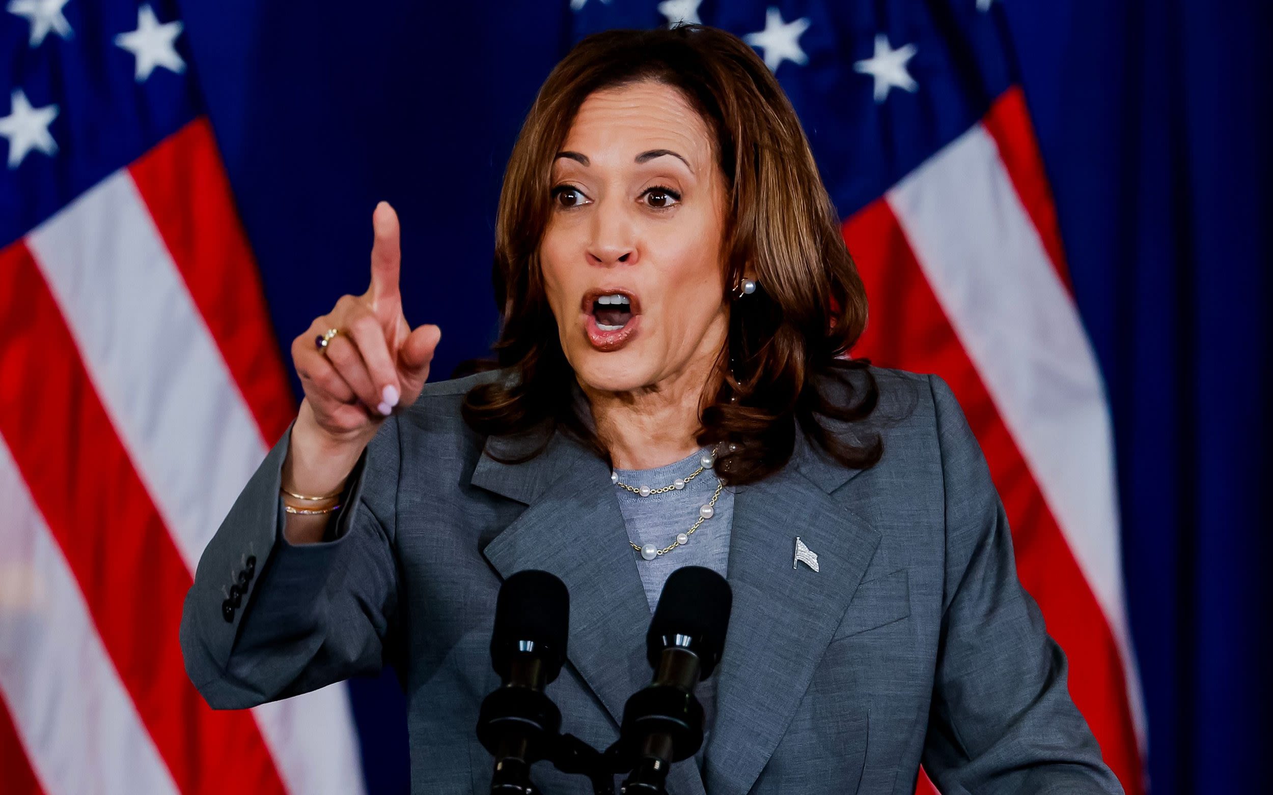 Coconut tree jokes and a love of Venn diagrams: Kamala Harris’s strangest soundbites