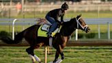 Kentucky Derby handicapping: Fierceness is dominant but an enigma