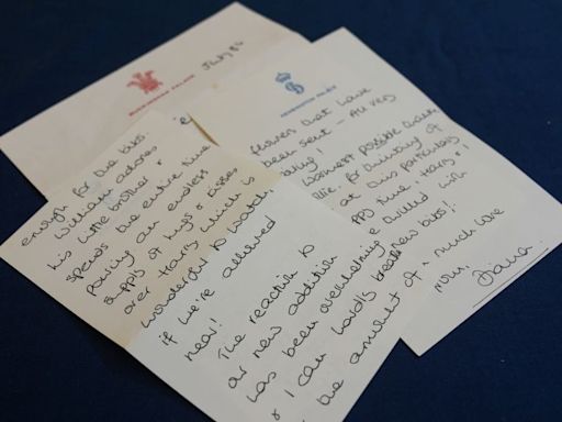 ‘An insight into Diana’s life’: Princess’ handwritten letters go on sale