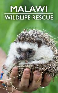 Malawi Wildlife Rescue