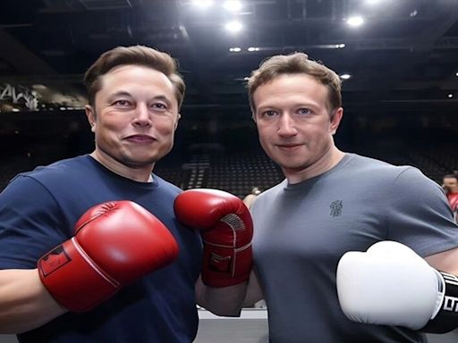 'Any place, any time, any rules': Elon Musk still insisting on fighting Meta CEO Mark Zuckerberg