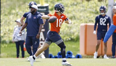 Big Years Still Expected from Some Bears by Oddsmakers