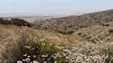 Border agents lead tour of heavily used smuggling route in San Diego mountains