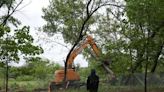 Despite pitched opposition, city begins cutting down heritage trees at FDR Park