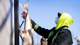 Winnebago system sturgeon spearing is fast approaching. Here's what you need to know.