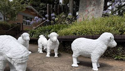 清境農場獲贈10座泥塑小羊 竟是霧社水庫淤泥做的