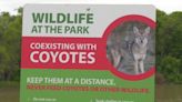 Assiniboine Park officials warn public to be vigilant around coyotes after incident on zoo grounds