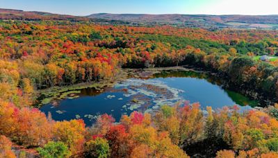 2024 fall foliage: When will leaves change, peak in Upstate NY?