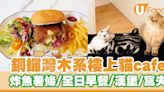 銅鑼灣木系樓上貓cafe「Catio」 炸魚薯條／全日早餐／漢堡／窩夫／雞蛋仔 | U Food 香港餐廳及飲食資訊優惠網站